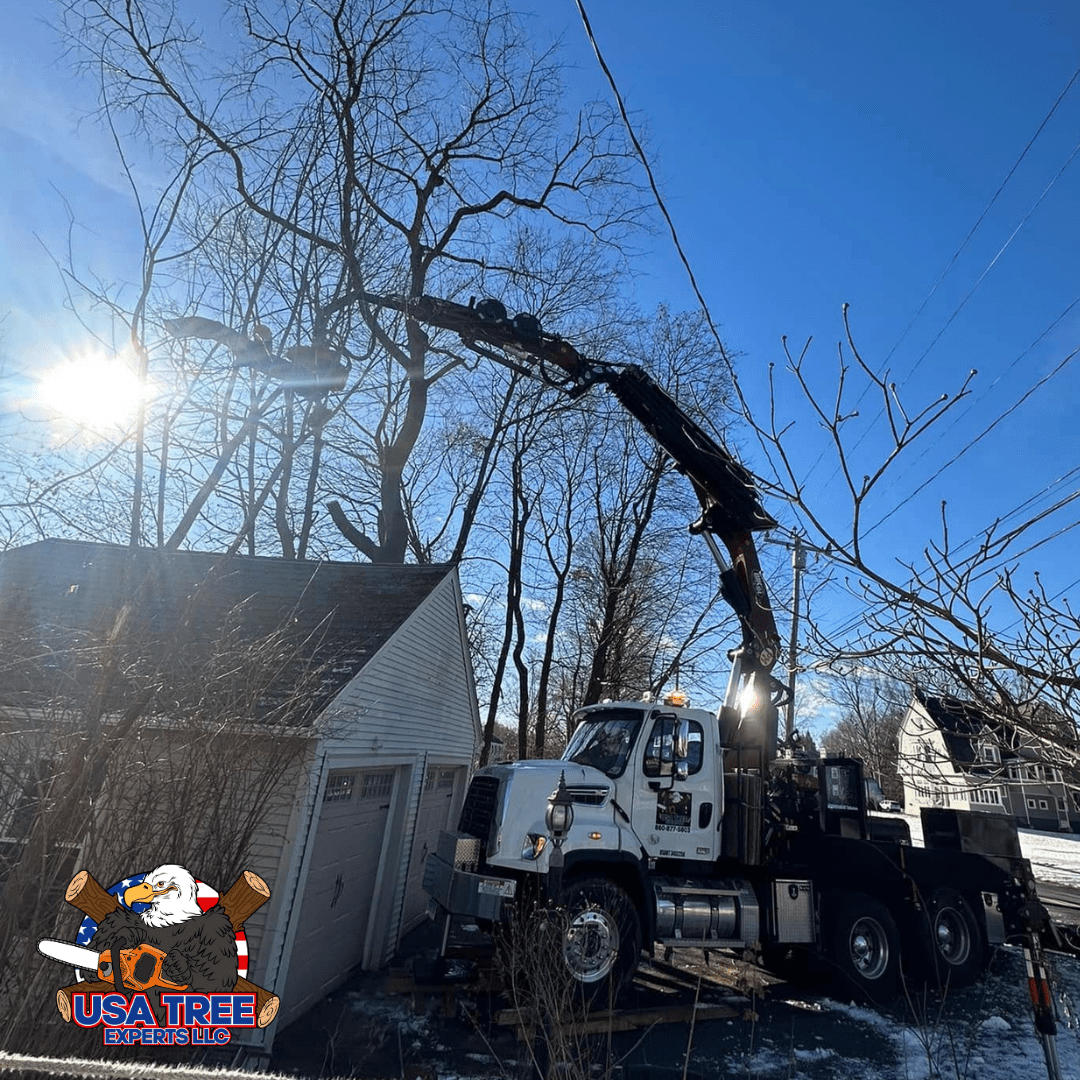 A tree service truck from USA Tree Experts LLC equipped with a hydraulic crane trimming tall trees near a residential garage on a sunny winter day. The logo of USA Tree Experts LLC is displayed in the bottom left corner.